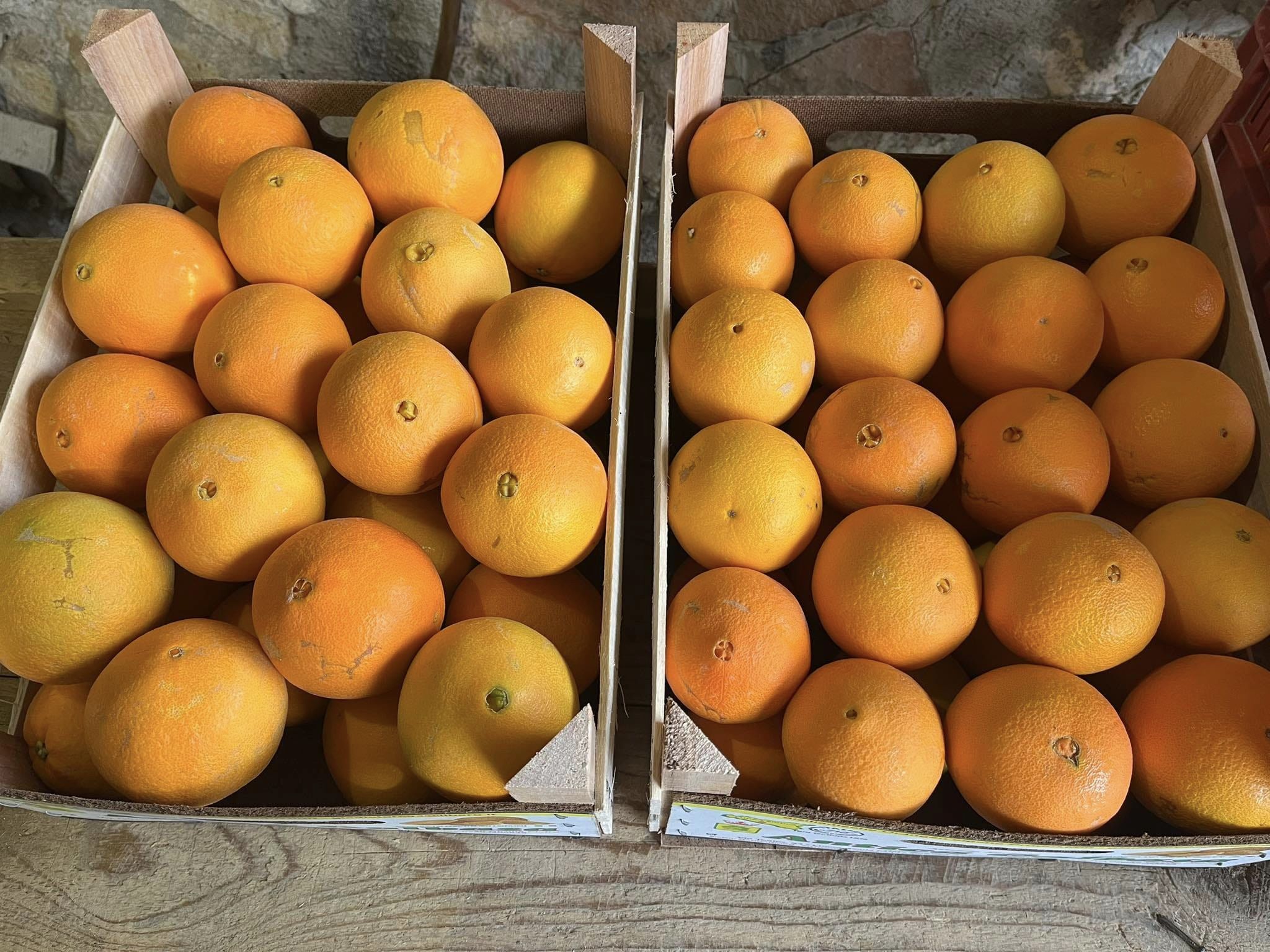 Kisten mit Orangen